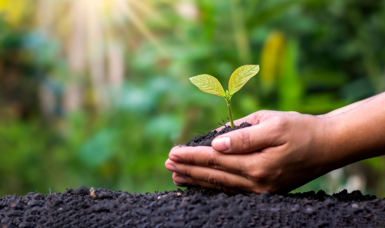 Image illustrant la protection de l'environnement et l'écologie, un des avantages de la dématérialisation